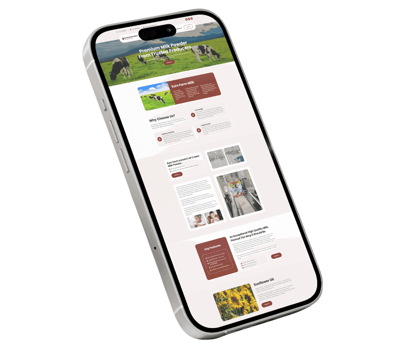 Why Choose Us Image 2